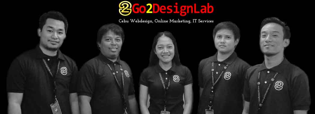Website Development: Digital Agency vs Freelancer | Go2designlab